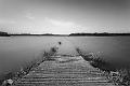 2018_04_04_Etang de Baye (0001_b-w)